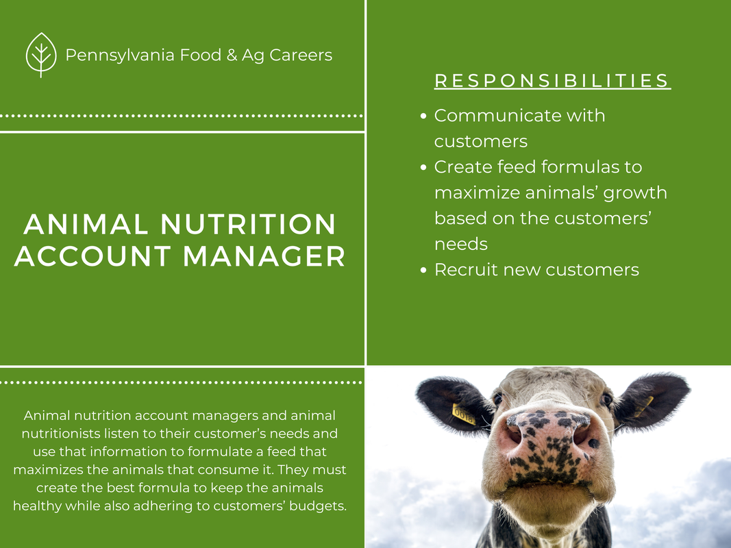 Animal Nutrition Account Manager